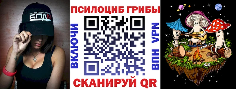 Галлюциногенные грибы Psilocybe как найти закладки Бавлы